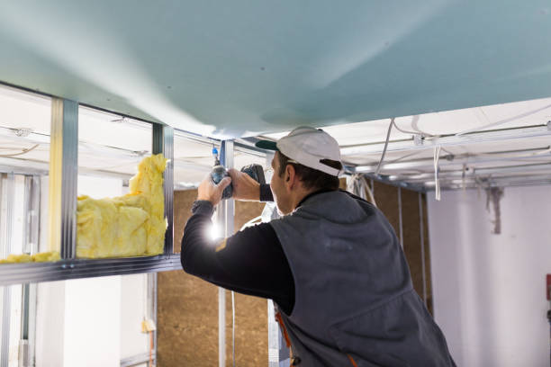 Best Home Insulation Services  in Sackets Harbor, NY