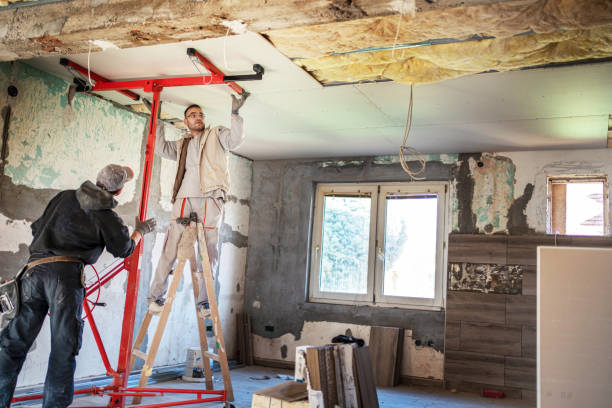 Best Insulation for New Construction  in Sackets Harbor, NY