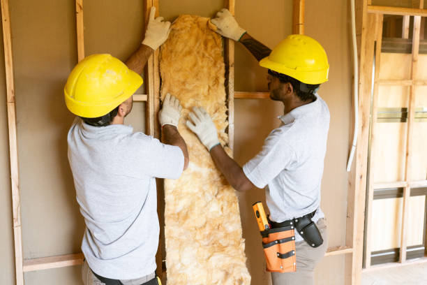 Best Blown-in Insulation  in Sackets Harbor, NY