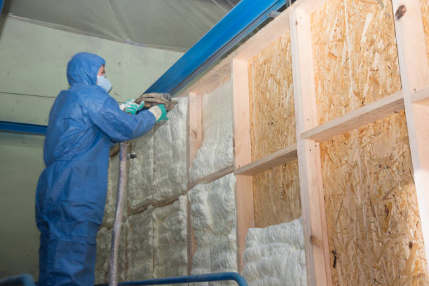 Best Home Insulation Services  in Sackets Harbor, NY